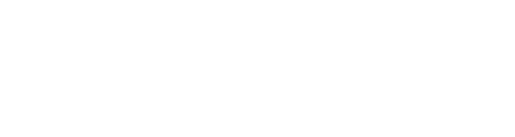 havan-white-logo